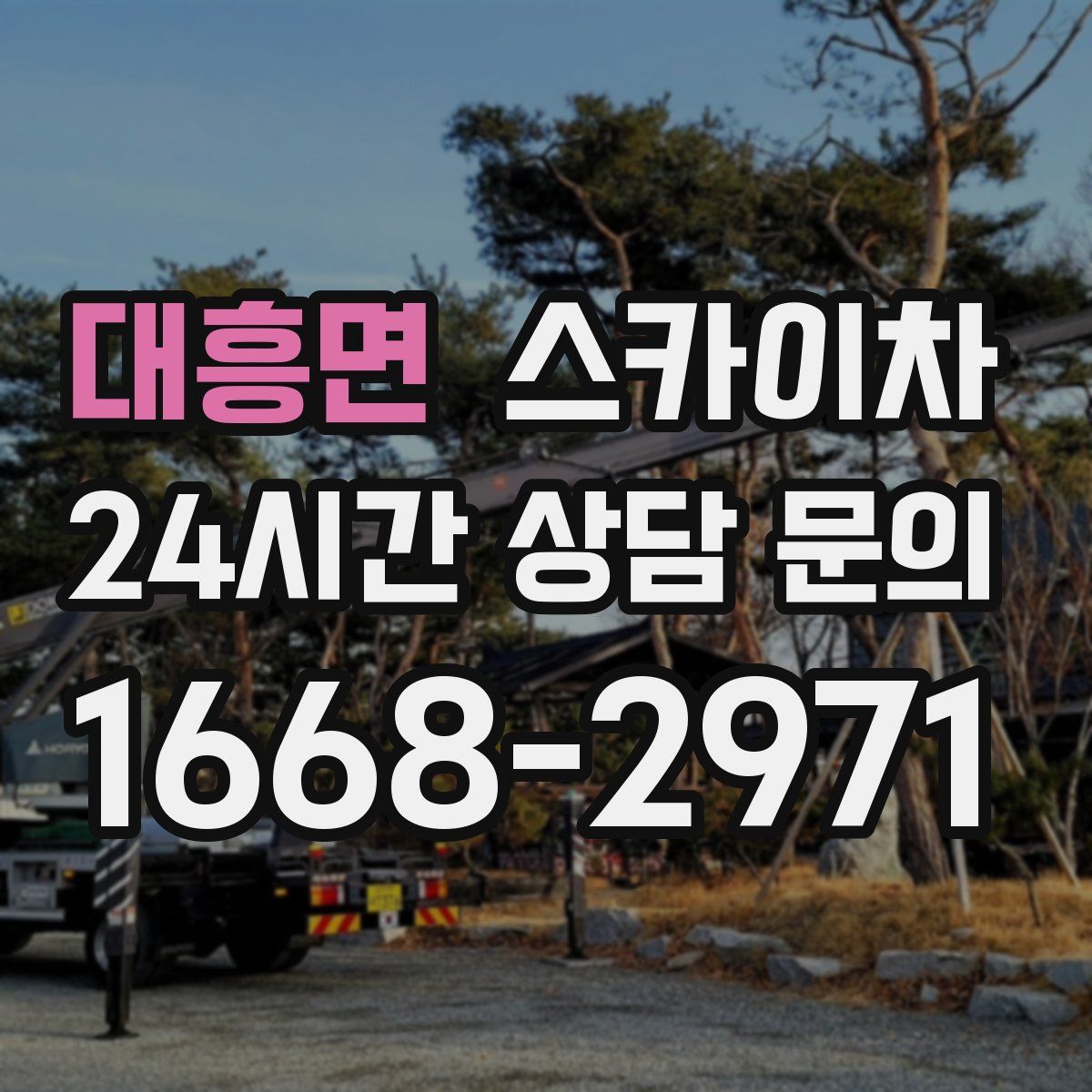 대흥면 스카이차