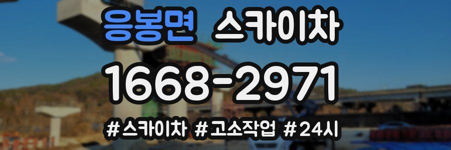 응봉면 스카이차