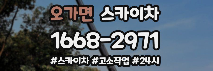 오가면 스카이차