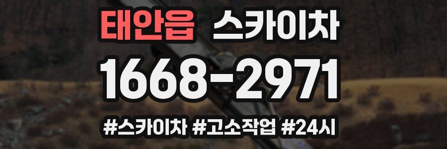 태안읍 스카이차