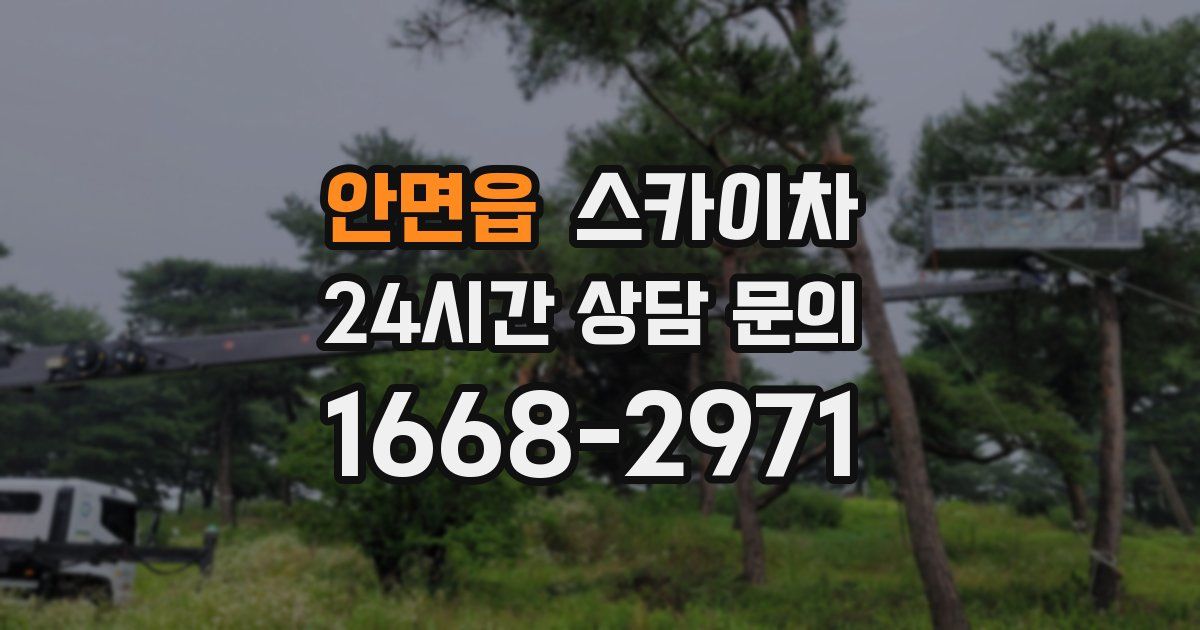 안면읍 스카이차