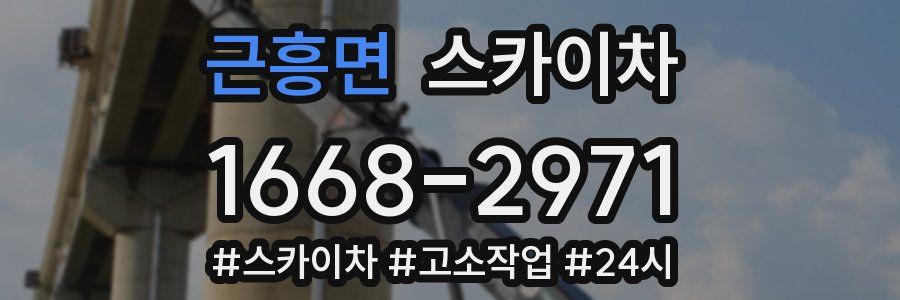 근흥면 스카이차