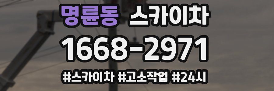 명륜동 스카이차