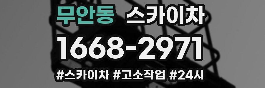 무안동 스카이차