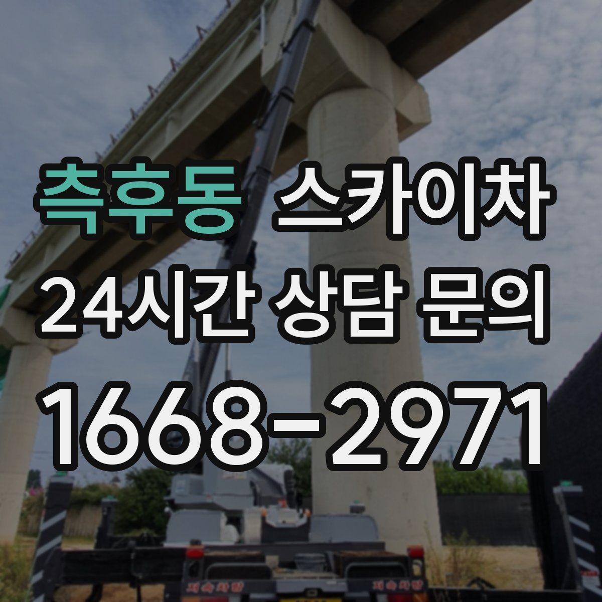 측후동 스카이차 나무 가지 전정 작업에 활용하는 방법