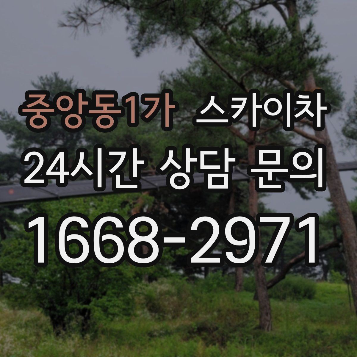 중앙동1가 스카이차 작업 동선 확보가 중요한 이유