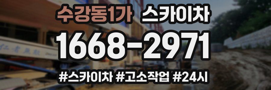 수강동1가 스카이차