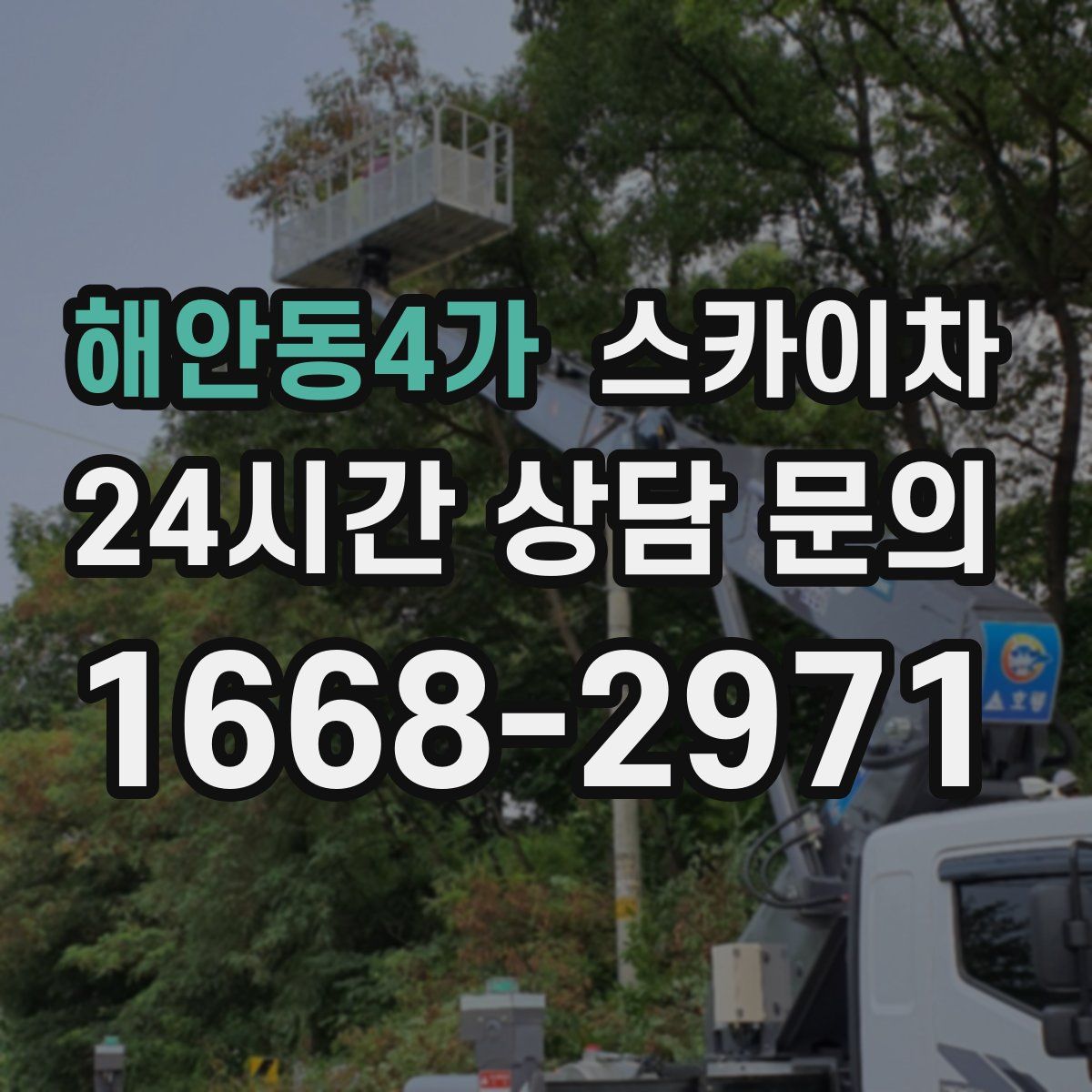 해안동4가 스카이차