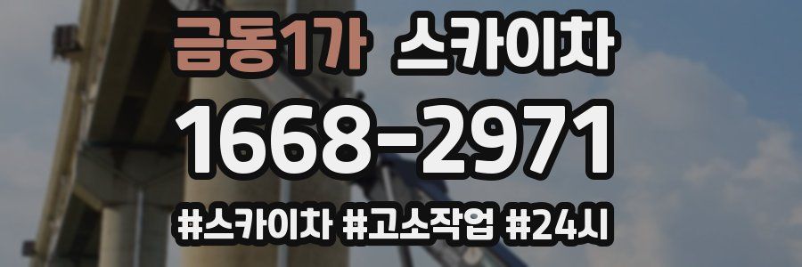 금동1가 스카이차