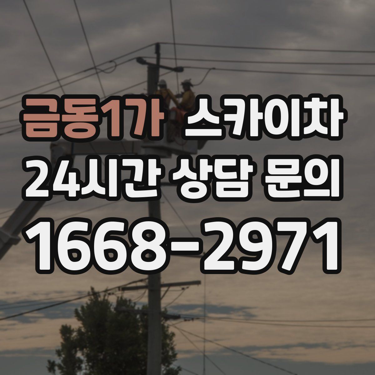 금동1가 스카이차