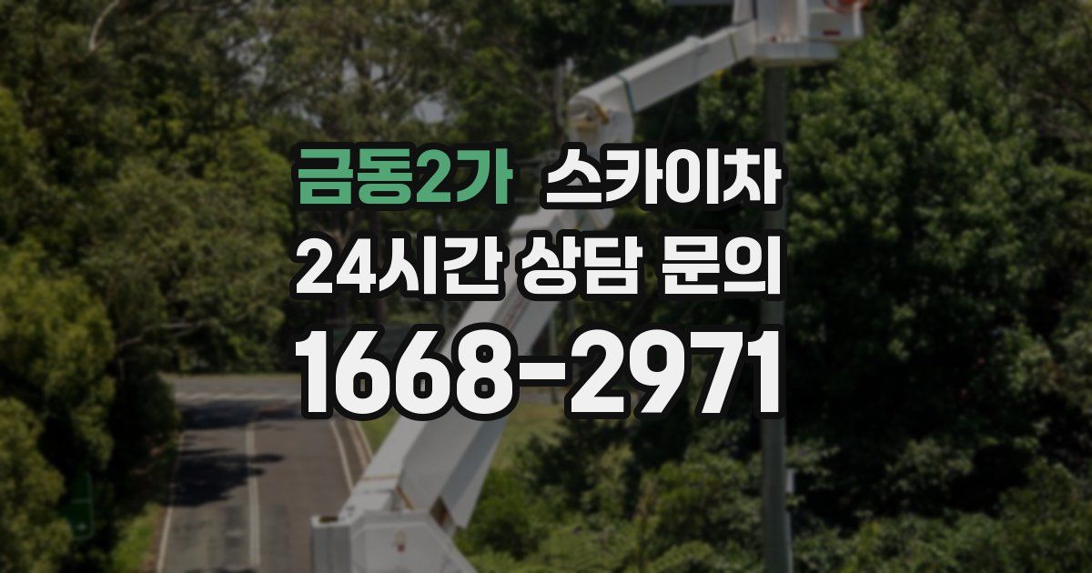 금동2가 스카이차