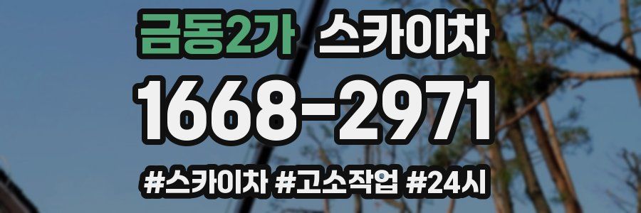 금동2가 스카이차