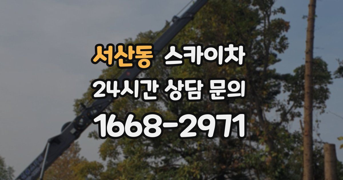 서산동 스카이차