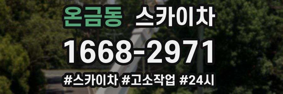 온금동 스카이차