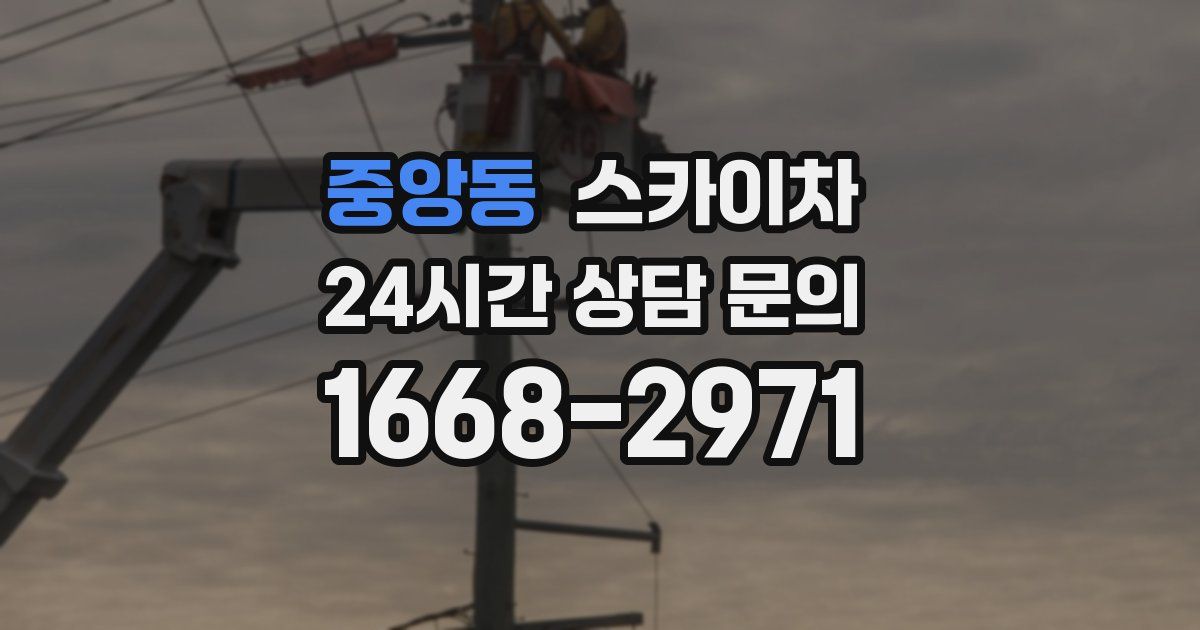 중앙동 스카이차