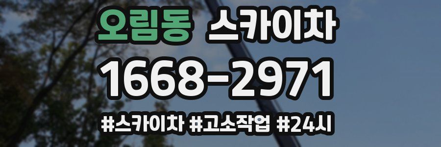 오림동 스카이차