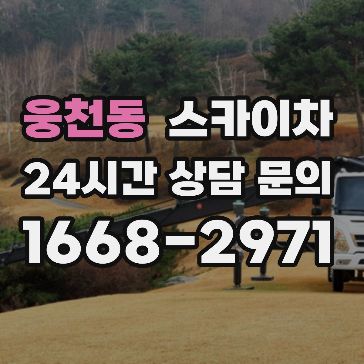 웅천동 스카이차