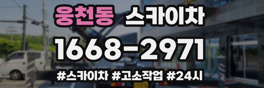 웅천동 스카이차