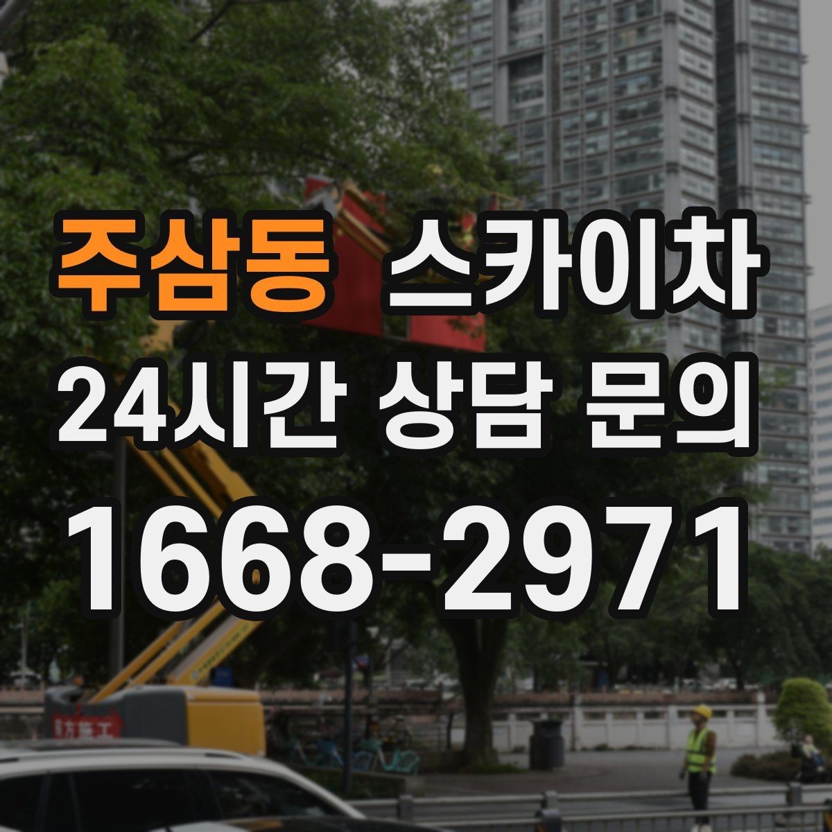 주삼동 스카이차 나무 가지 전정 작업에 활용하는 방법