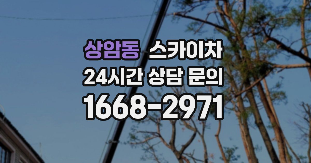 상암동 스카이차