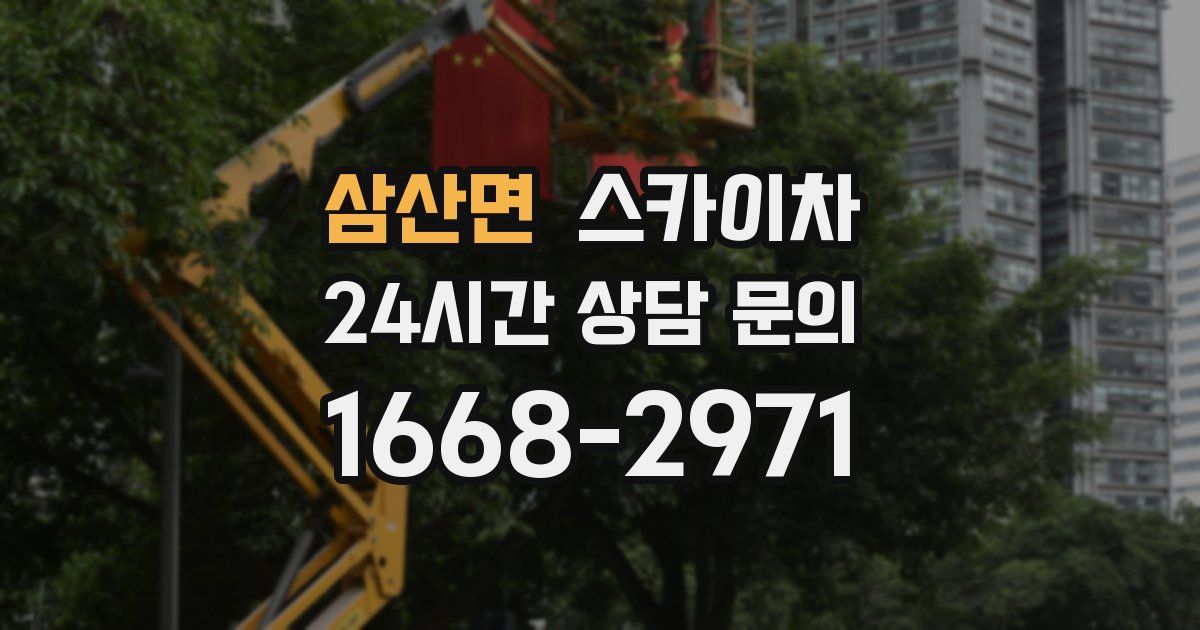 삼산면 스카이차