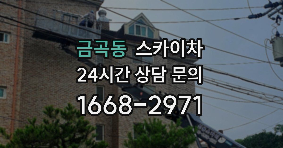 금곡동 스카이차