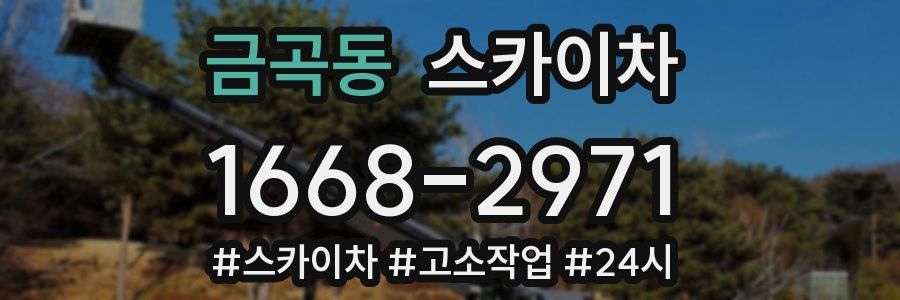 금곡동 스카이차