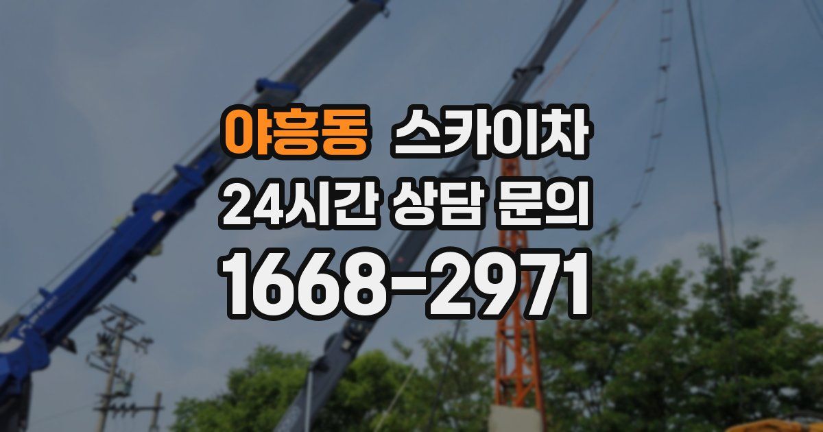 야흥동 스카이차