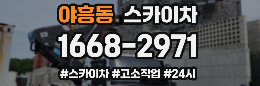 야흥동 스카이차