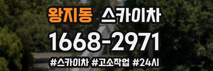 왕지동 스카이차