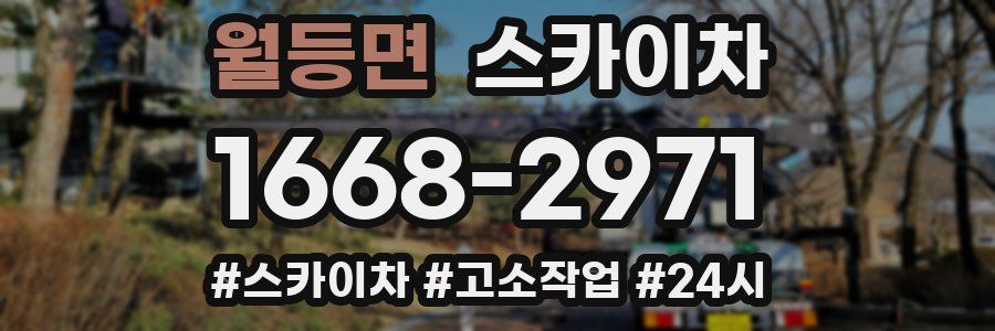 월등면 스카이차