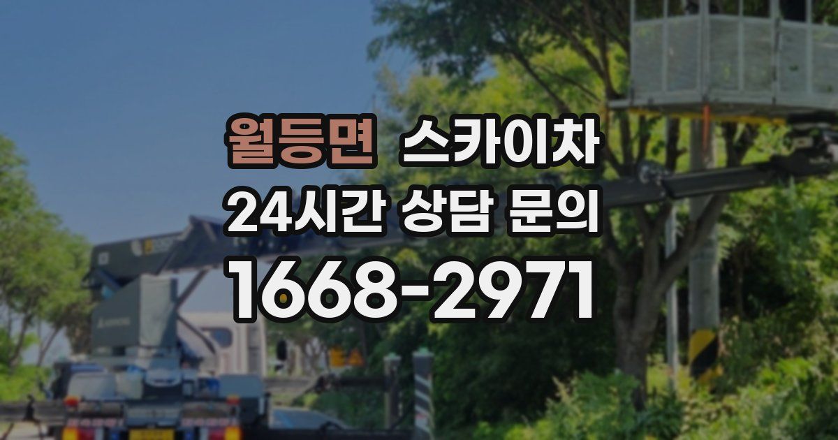 월등면 스카이차