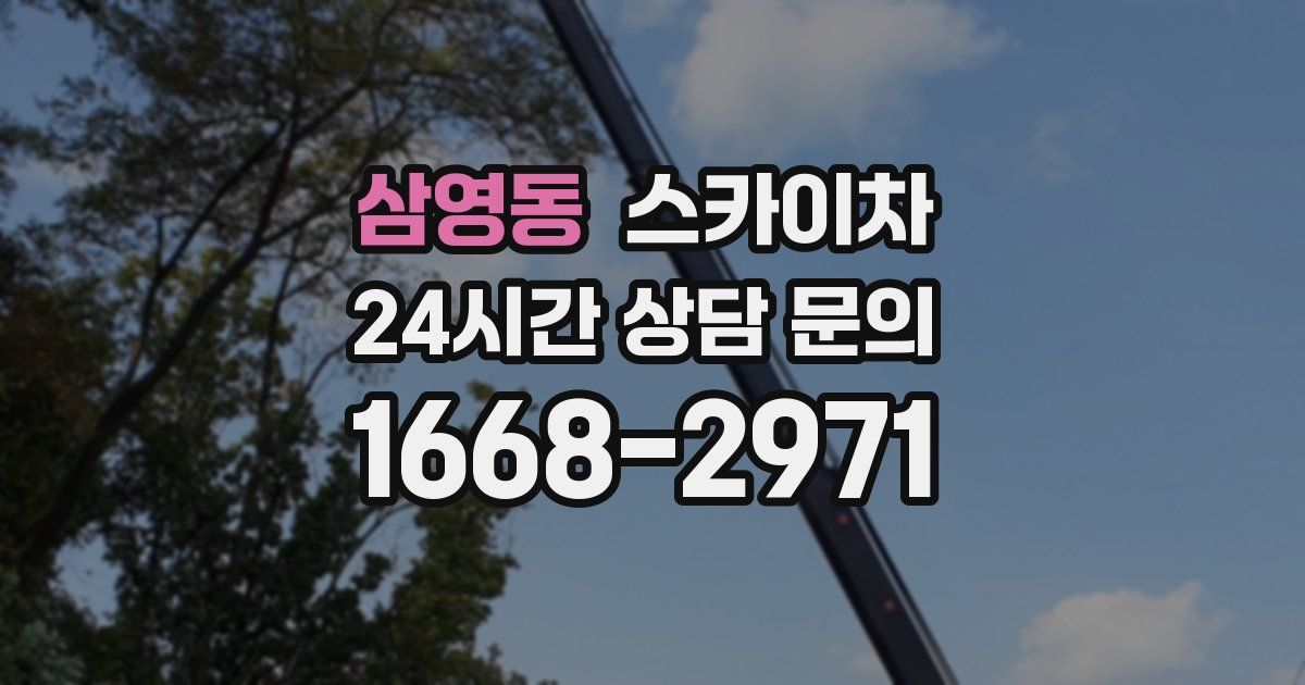 삼영동 스카이차