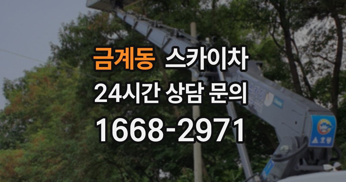 금계동 스카이차