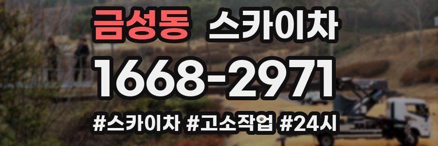 금성동 스카이차