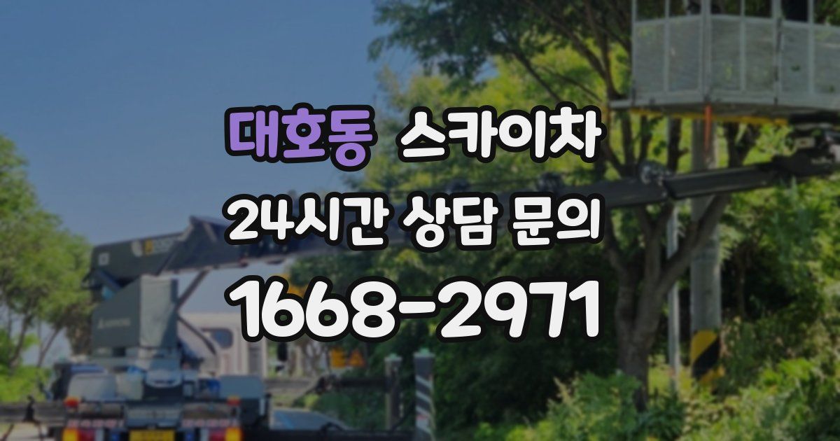 대호동 스카이차