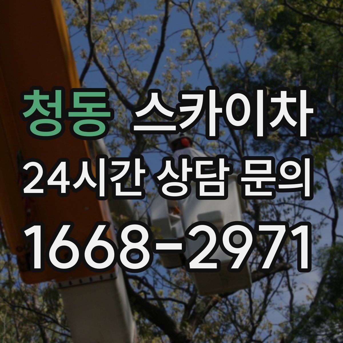 청동 스카이차 외부 배선 정리 작업을 안전하게