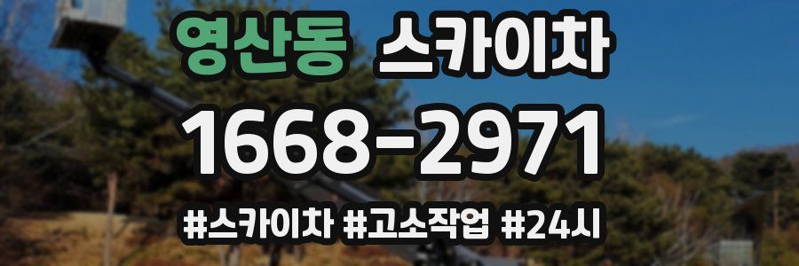 영산동 스카이차