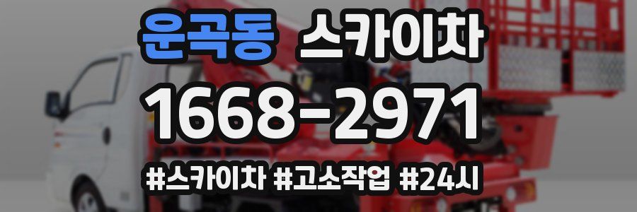 운곡동 스카이차