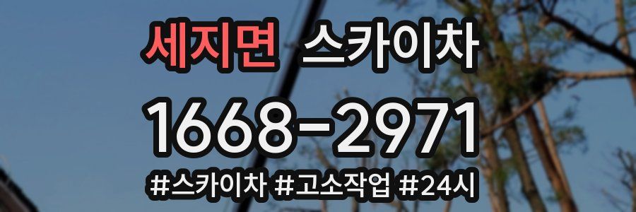 세지면 스카이차