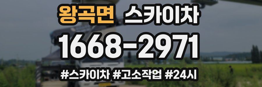 왕곡면 스카이차