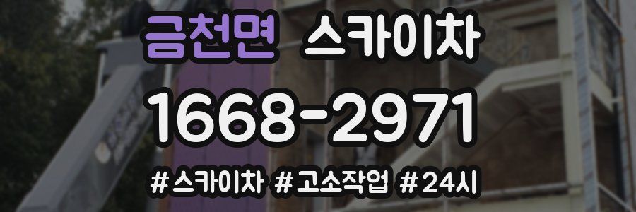 금천면 스카이차