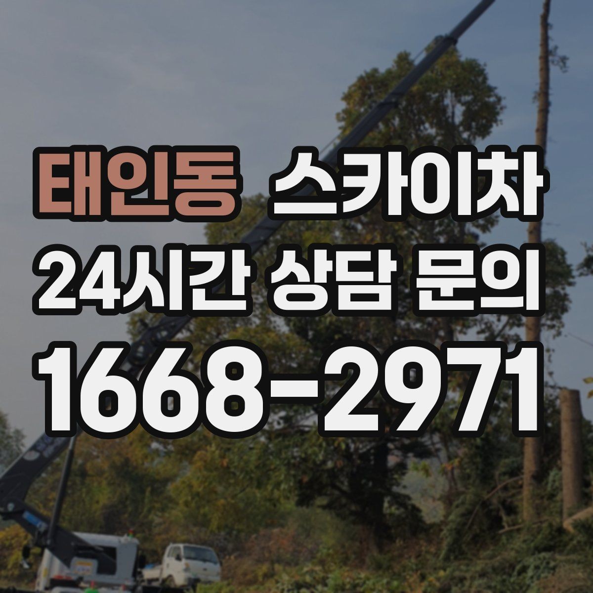 태인동 스카이차 CCTV 설치를 고소에서 진행할 때