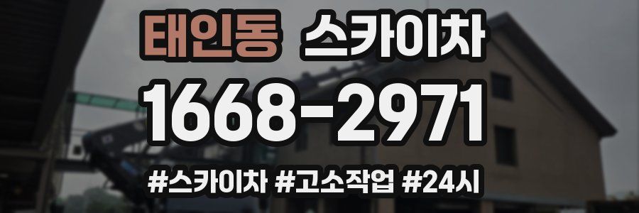 태인동 스카이차