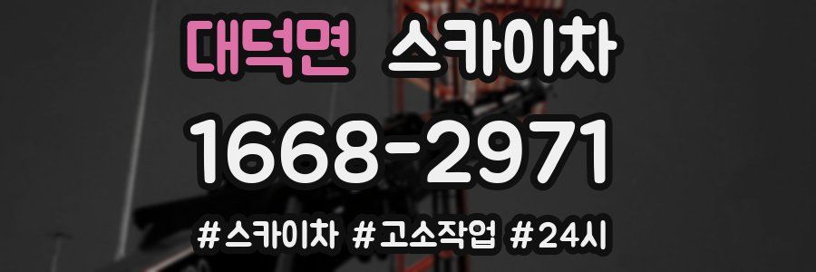 대덕면 스카이차