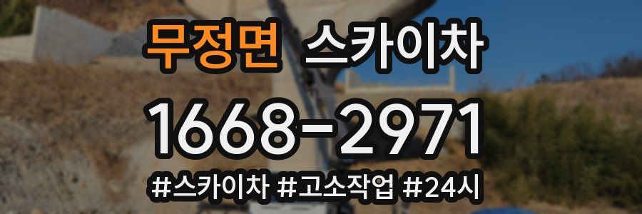 무정면 스카이차