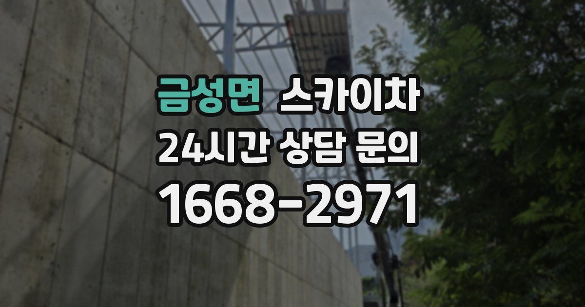 금성면 스카이차