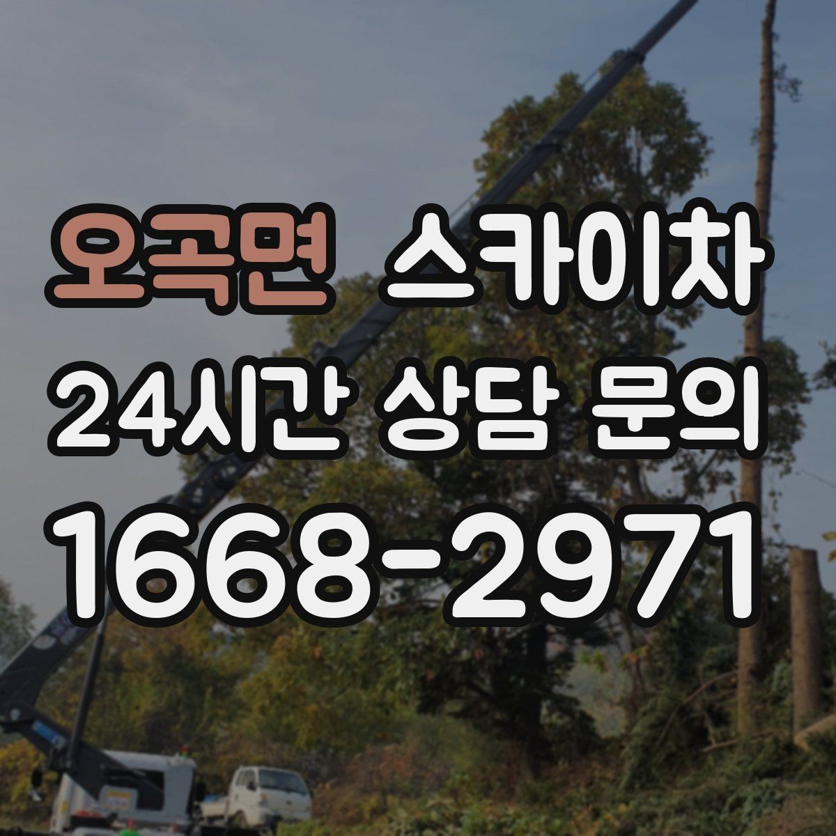 오곡면 스카이차 전선 많은 현장 작업 전 주의사항