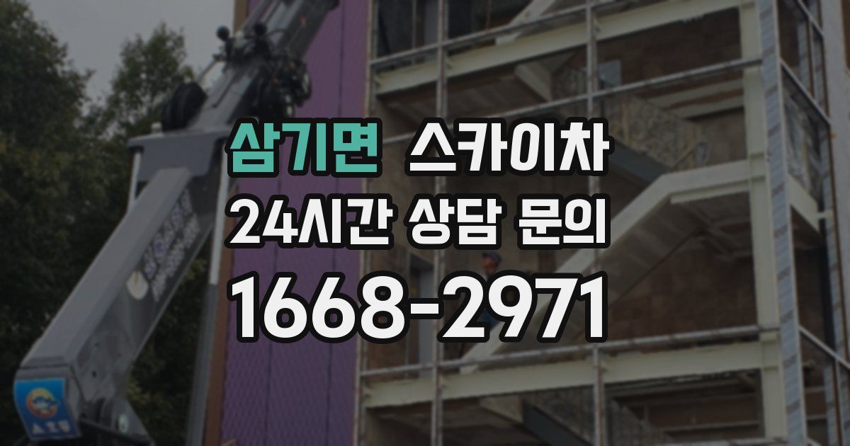 삼기면 스카이차