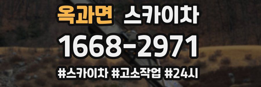 옥과면 스카이차